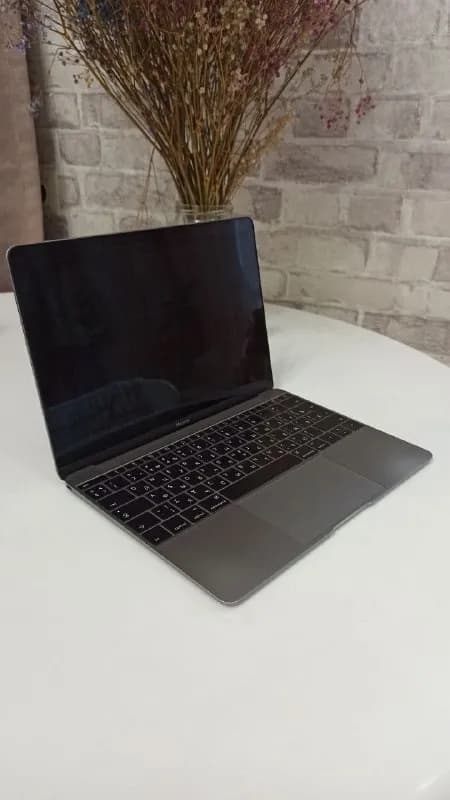 MacBook 12 Retina (Early 2016) — Тбилиси — 800 ₾