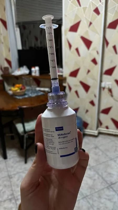 30 мл мильтефорана (для лечение лейшманиоза). пишите в личку, кто хочет забрать. — Тбилиси — 85 ₾