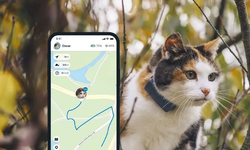 GPS трекер для кошек Tractive CAT Mini, самый маленький трекер, специально разарботан для кошек. — Тбилиси — 145 ₾