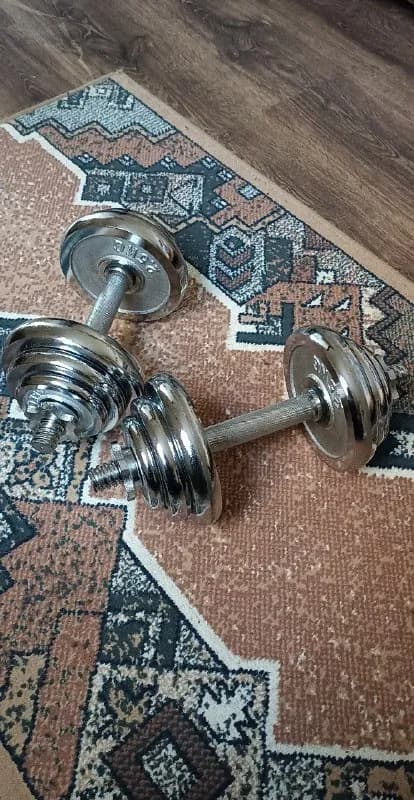 18кг — Тбилиси — 160 ₾