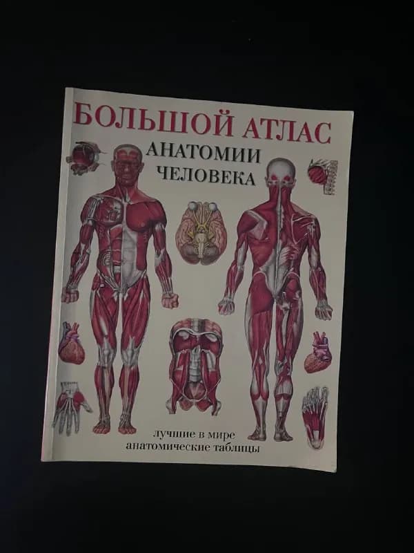 1. Большой атлас анатомии человека 15 gel (продано) — Тбилиси — 15 ₾