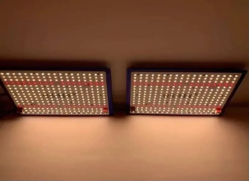 Quantumboard 240W на Samsung чипах. Драйвер Mean Well. Новый, лежит без дела пылиться почти год. Пол — Тбилиси