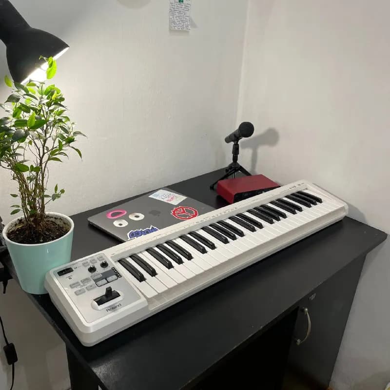 MIDI Клавиатура Rolland A-49 — Тбилиси — 200 $