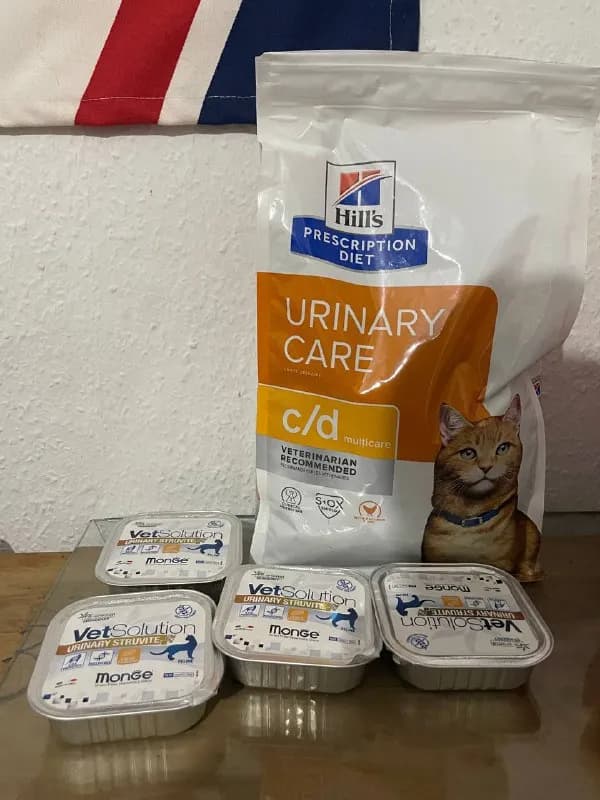 1,5 кг съел грамм 100 — Тбилиси — 80 ₾