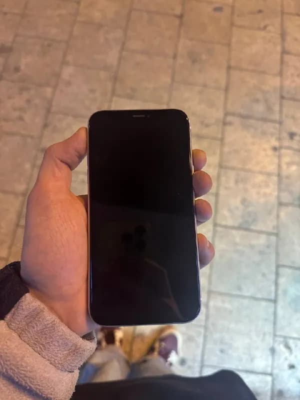 iphone xr 64gb — Тбилиси — 500 ₾