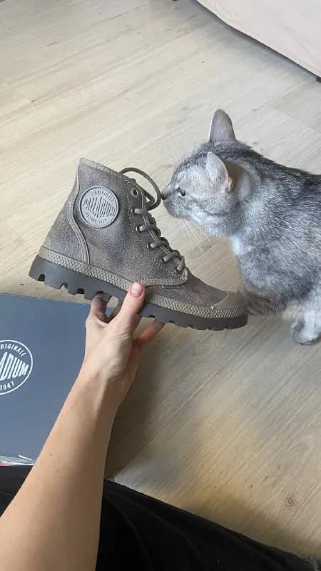 Palladium — Тбилиси — 200 ₾