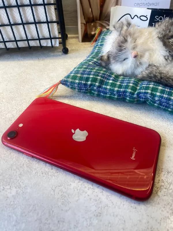 iPhone SE 2020 64gb — Тбилиси — 500 ₾
