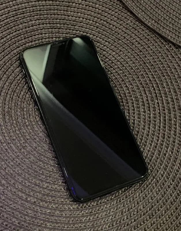 iPhone XS Max 256 gb — Тбилиси — 666 ₾
