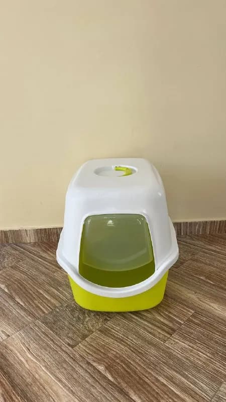 40 лари — Тбилиси — 40 ₾