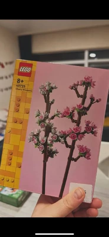 LEGO Cherry Blossoms (40725) — Батуми — 20 ₾