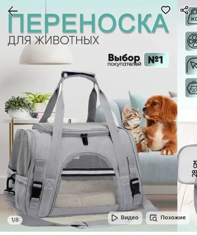 Без названия — Тбилиси