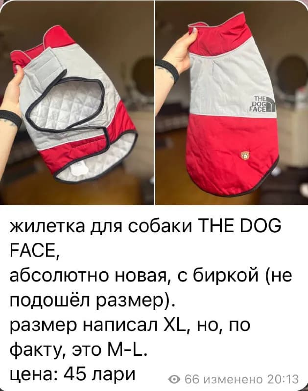Жилетка для собаки — Тбилиси