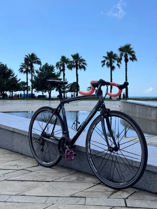 Lombardo Ventimiglia 220 — Батуми — 800 ₾